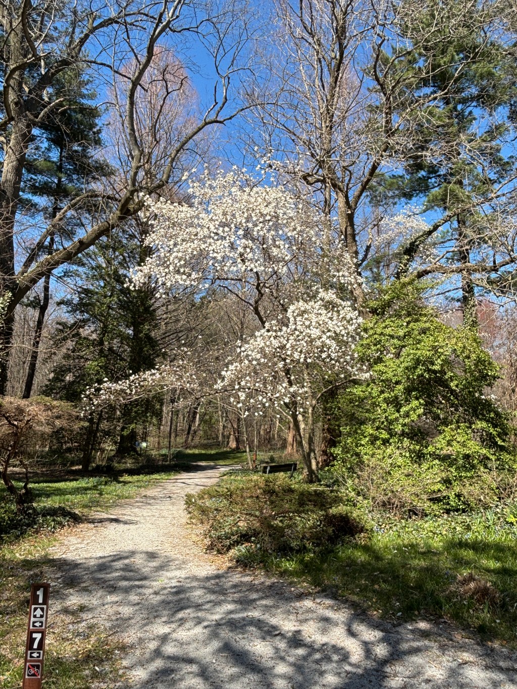 Get a dose of spring at this charming&nbsp;park