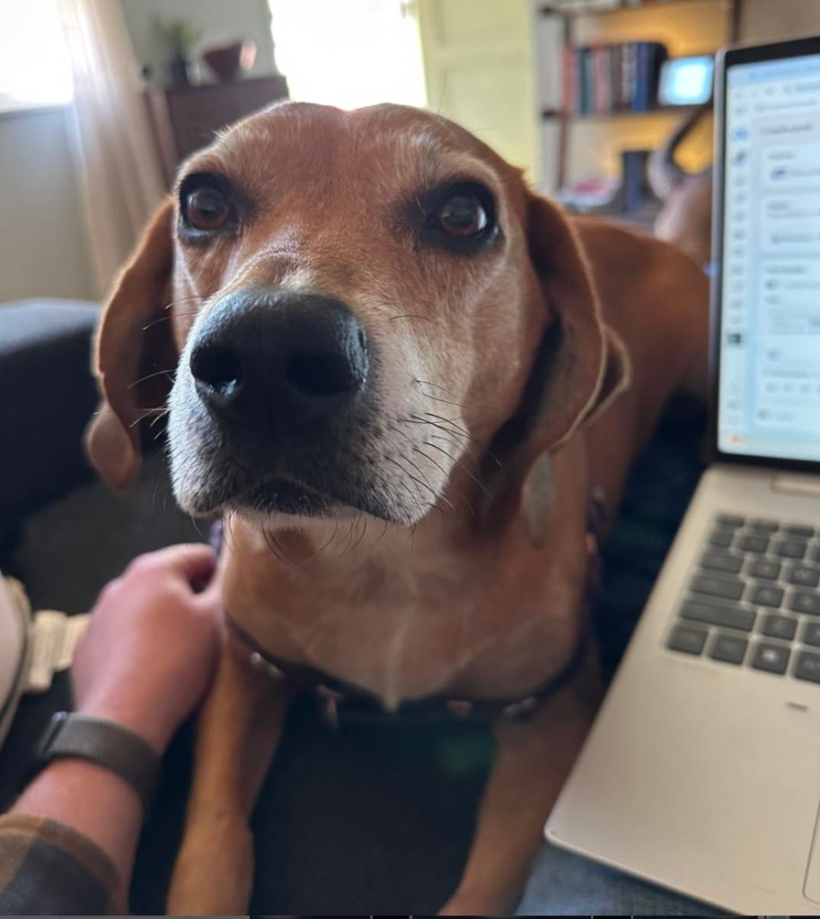 Doppler, Matt Rudkin's dog