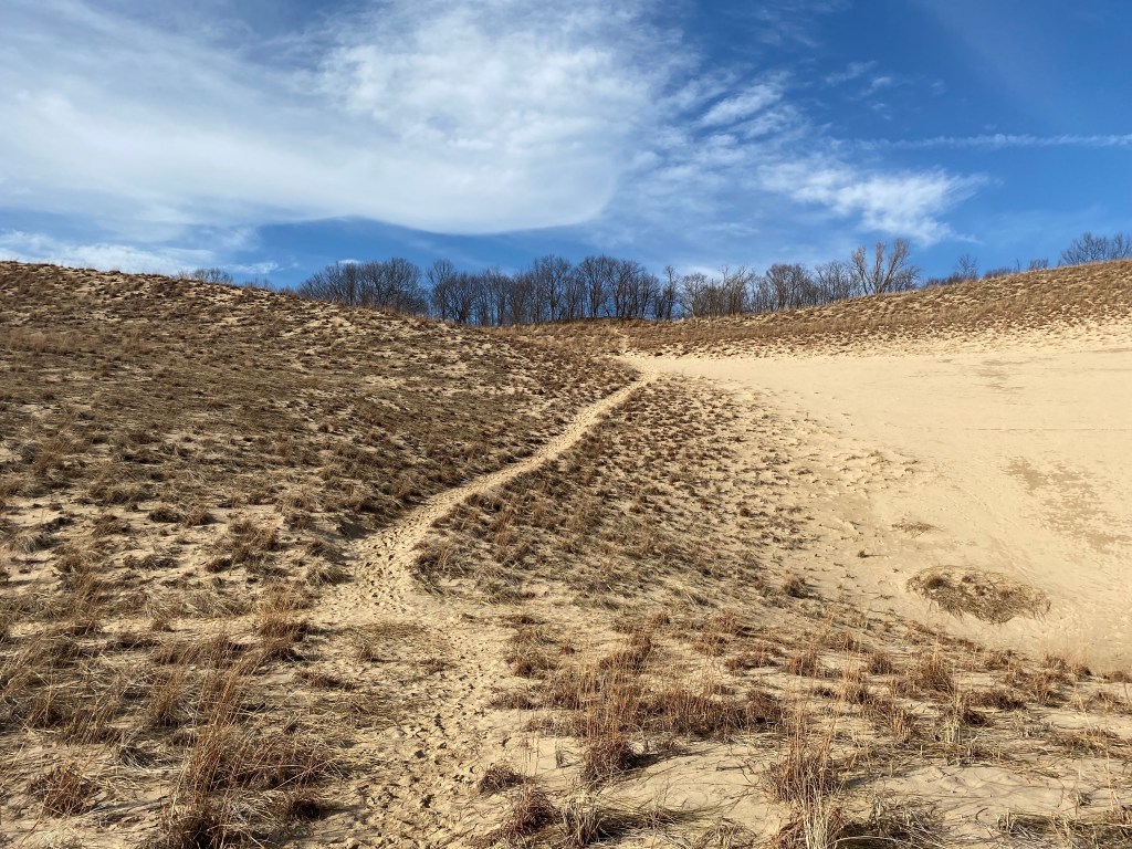 Vacationing in New Buffalo with&nbsp;kids