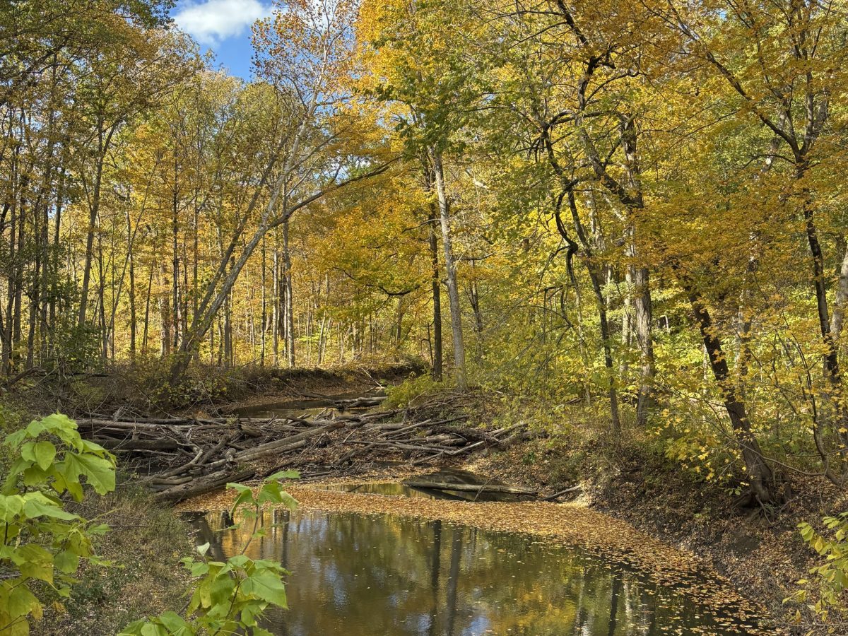 A great fall drive and short&nbsp;hike