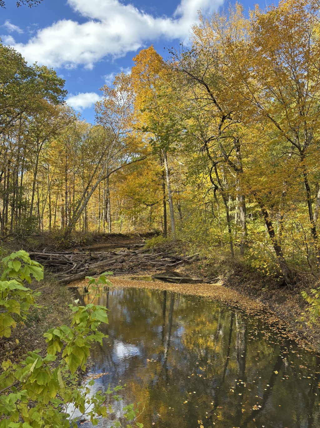 A great fall drive and short&nbsp;hike